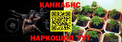 скорость Аргун