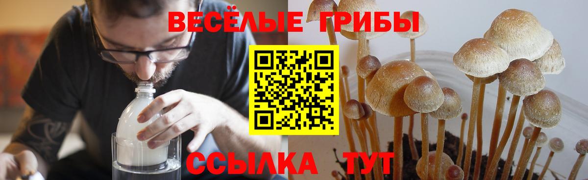 Белово  Псилоцибиновые грибы Magic Shrooms  Вход с VPN 